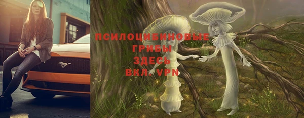 mix Белокуриха