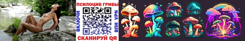 Галлюциногенные грибы Cubensis  как найти закладки  Волчанск 